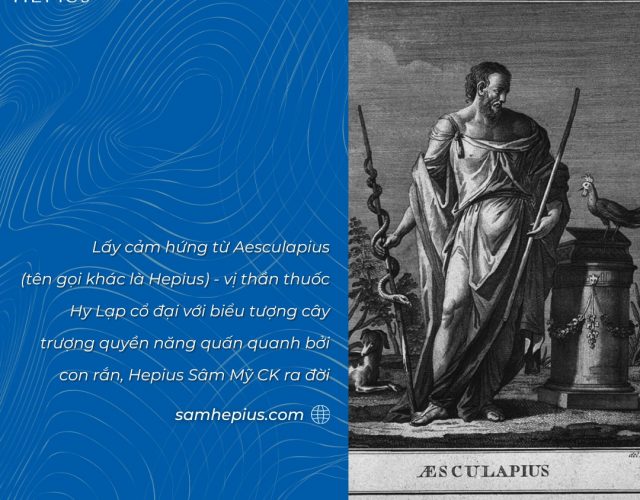 Hepius Sâm Mỹ CK cảm hứng