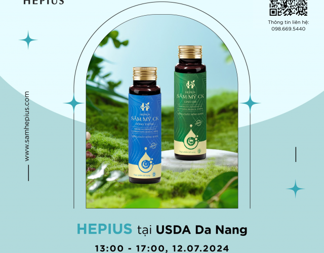 Hepius Sâm Mỹ CK