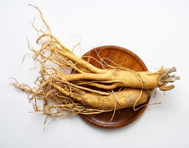 nhân sâm Mỹ