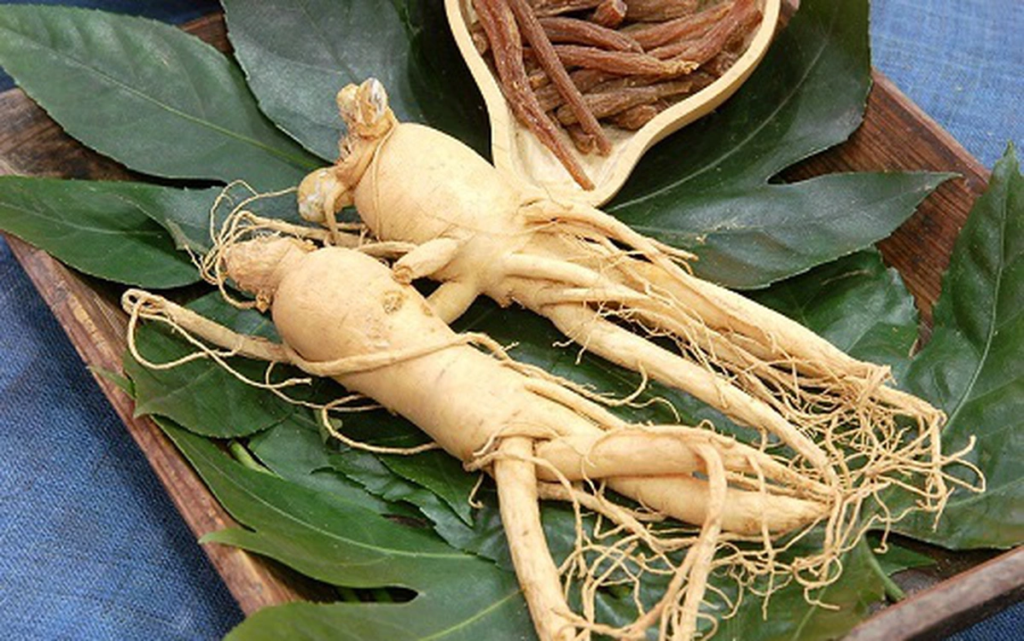 Thành phần ginsenoside trong từng loại nhân sâm khác nhau, dẫn đến sự khác nhau về công dụng