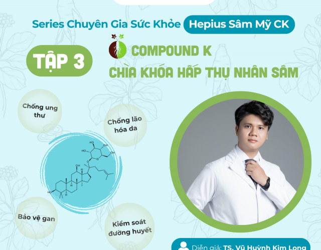 Compound K trong Sâm Mỹ – Bí quyết giúp cơ thể hấp thu sâm hiệu quả hơn