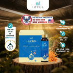 Hepius Sâm Mỹ CK Đông Trùng