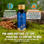 Hepius Sâm Mỹ CK Đông Trùng - Ảnh 2
