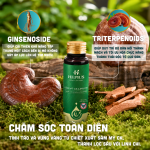 Hepius Sâm Mỹ CK Linh Chi - Ảnh 2
