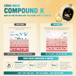 Hepius Cốt Trà Sâm Compound K 250ml - Ảnh 3