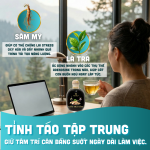 Hepius Cốt Trà Sâm Compound K 250ml - Ảnh 4