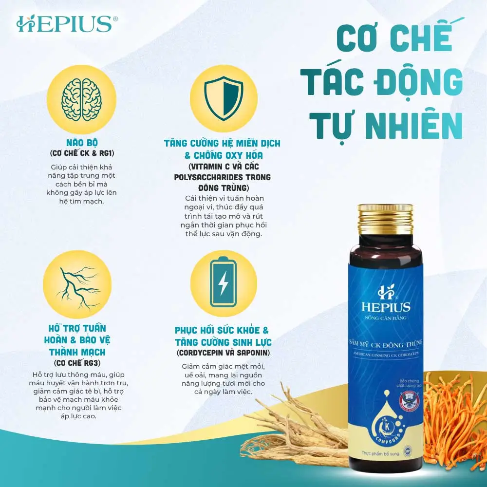 hepius set qua tang cao cap co che tac dong